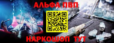 амф Кингисепп