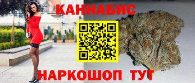 амф Кингисепп