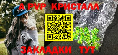 амф Кингисепп