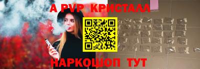 амф Кингисепп