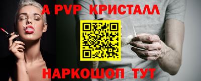 амф Кингисепп