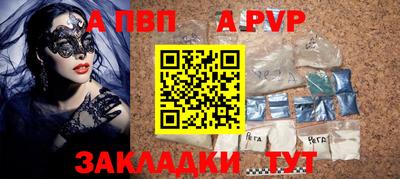 амф Кингисепп