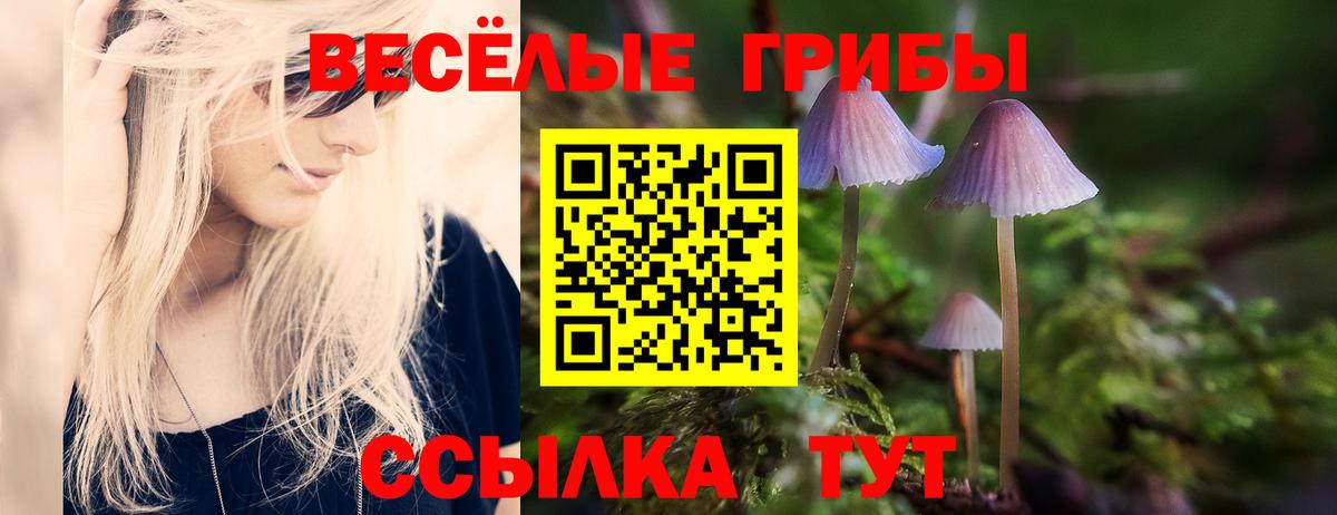 Псилоцибиновые грибы мицелий Шебекино